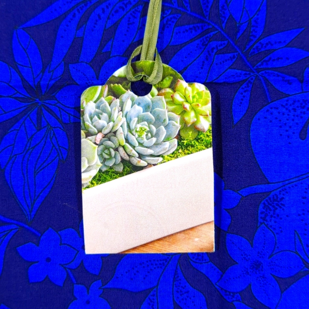 Present tags with succulents 🪴🌿🌱